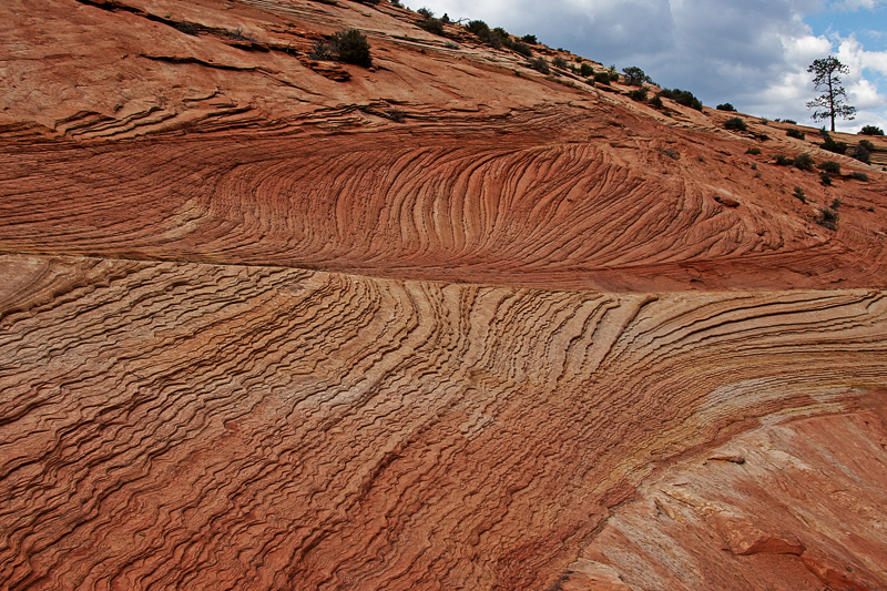 Zion NP, Utah.jpg - Struktur II